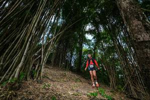 BIB: 
                            <button type="button" onclick="openModal(19395227)" class="btn btn-primary btn-sm float-right btn-popup" data-toggle="modal" data-target=".modal-high-quality">
                        <i class="fas fa-shopping-cart"></i> Add to Cart
                    </button>
                                            <button type="button" onclick="isThisMe(19395227, true)" class="btn btn-success btn-sm float-right btn-popup btn-isme hidden" data-toggle="tooltip" data-placement="bottom" title="นี่คือรูปของคุณใช่ไหม คลิกที่นี่เพื่อเอาเข้าอัลบั้ม">
                        <i class="fas fa-plus"></i> Add to album
                    </button>
                    <button type="button" onclick="isThisMe(19395227, false)" class="btn btn-warning btn-sm float-right btn-popup btn-isnotme hidden">
                        <i class="fas fa-ban"></i> Remove from album
                    </button>